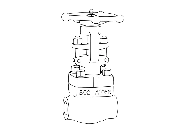 Forged Valve